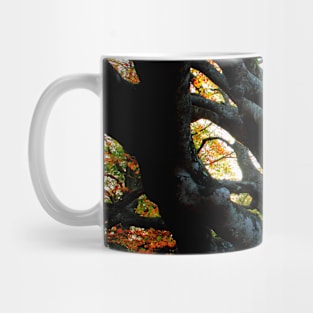 Huge trunk of a beech tree with numerous massive interwoven branches in Canfaito forest Mug